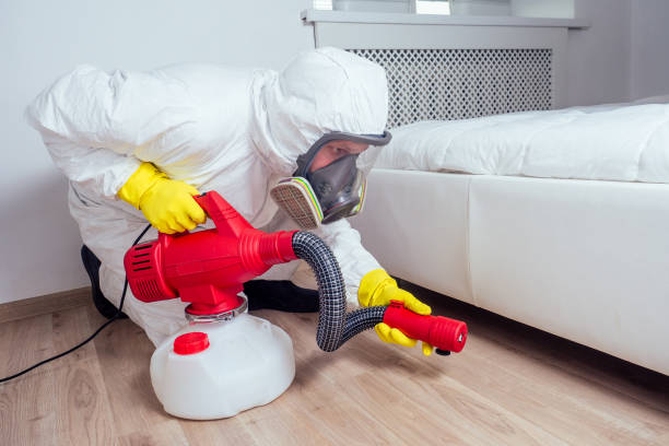 Emergency Pest Control Services in East Hills, NY